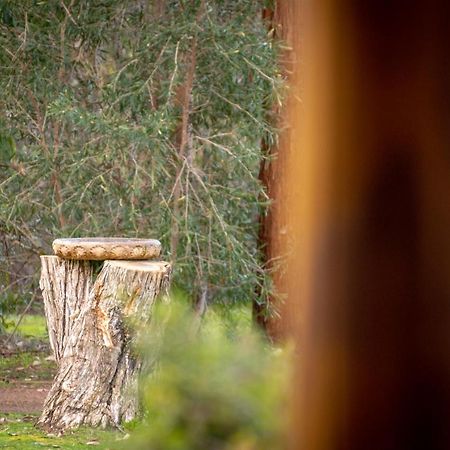 Margaret River Chalets Экстерьер фото